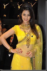 Anjana-Sukhani-sexy insaree