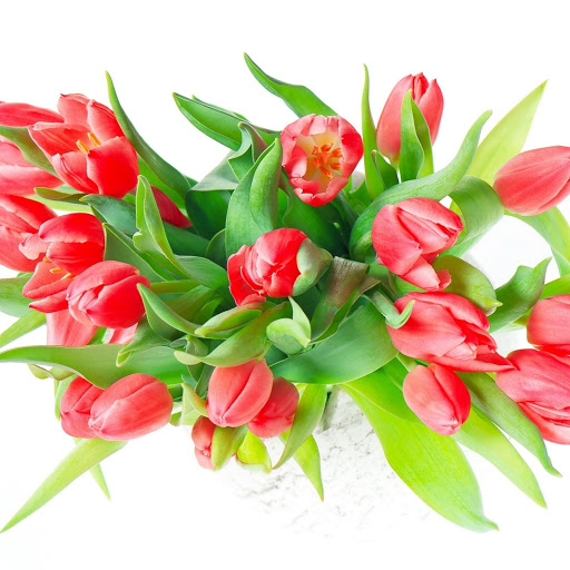 Hd-144365-ascw144365