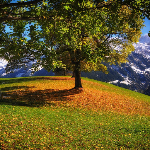 Hd-174308-ascw174308