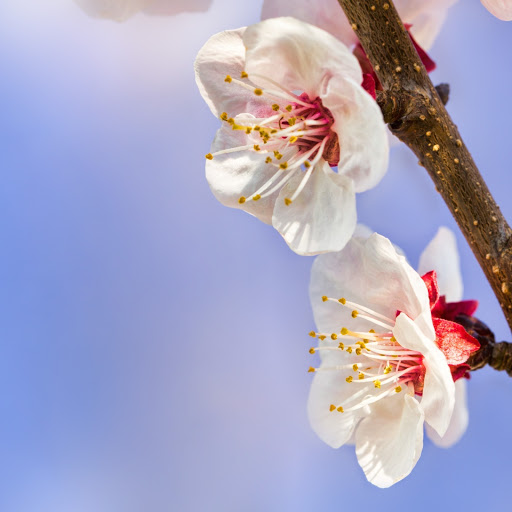 Hd-172744-ascw172744