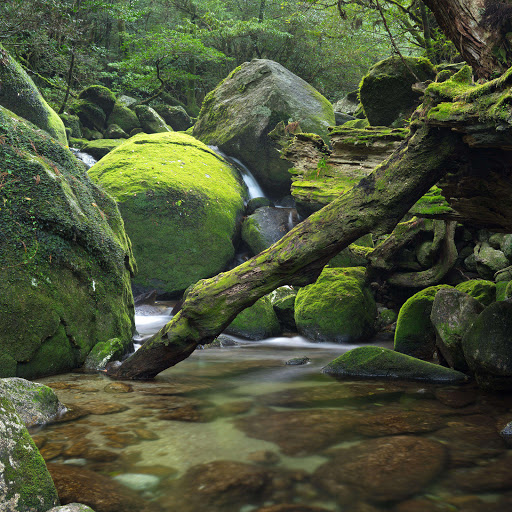 Hd-183324-ascw183324