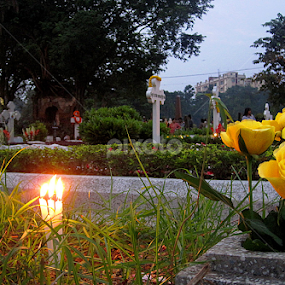 by Maadhabi Bhattacharyya - City,  Street & Park Neighborhoods