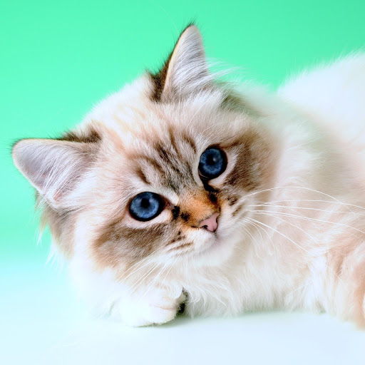 Hd-153160-ascw153160