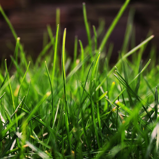 Hd-179298-ascw179298