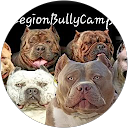 Image Google de Legion BullyCamp