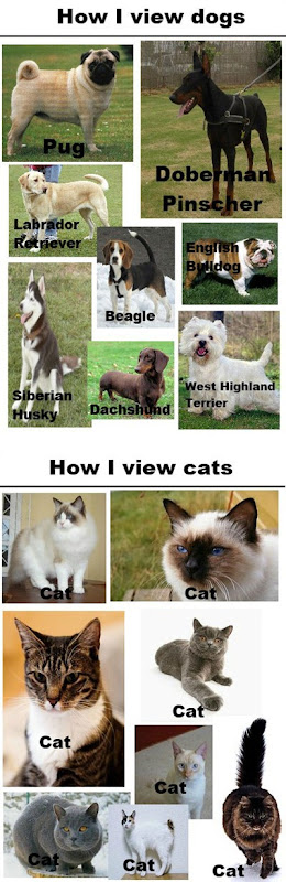 funny-dogs-cats-races-names