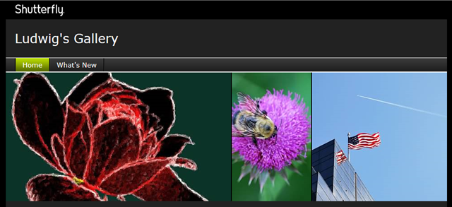 Shutterfly-header Shutterfly-header