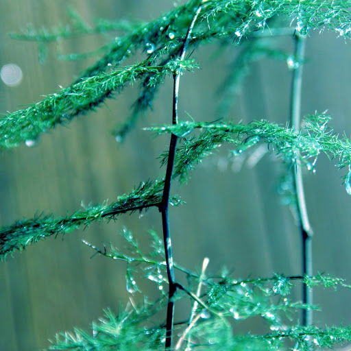 Hd-146425-ascw146425