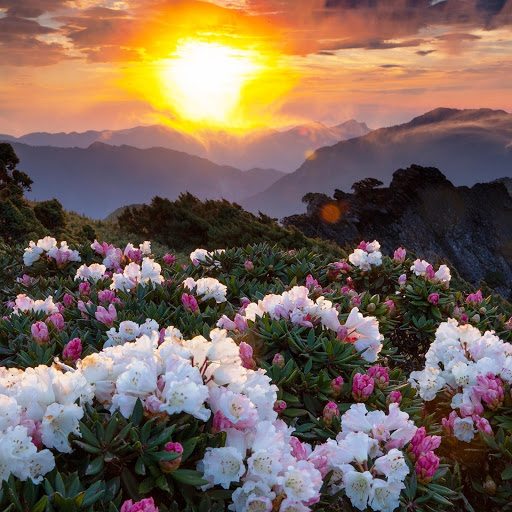 Hd-148388-ascw148388