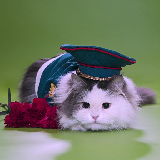 Hd-158603-ascw158603