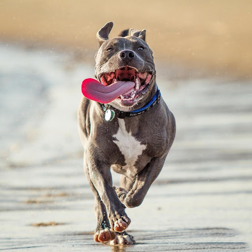 Hd-134672-ascw134672