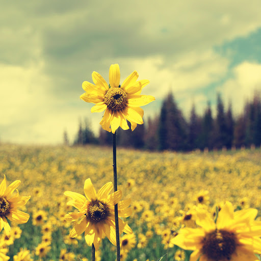 Hd-156726-ascw156726