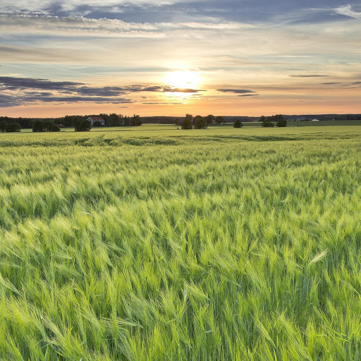 Hd-141986-ascw141986