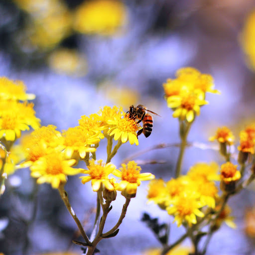 Hd-168236-ascw168236