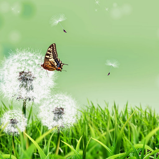 Hd-143189-ascw143189