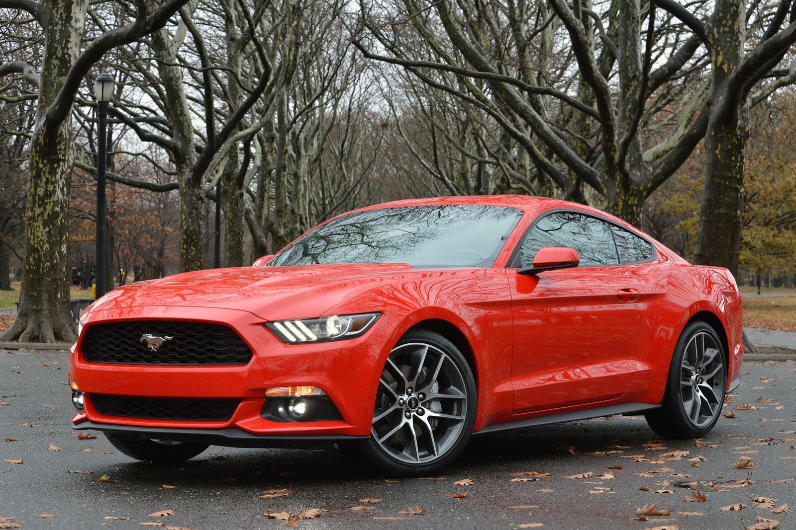 [2015-Ford-Mustang-8%255B5%255D.jpg]