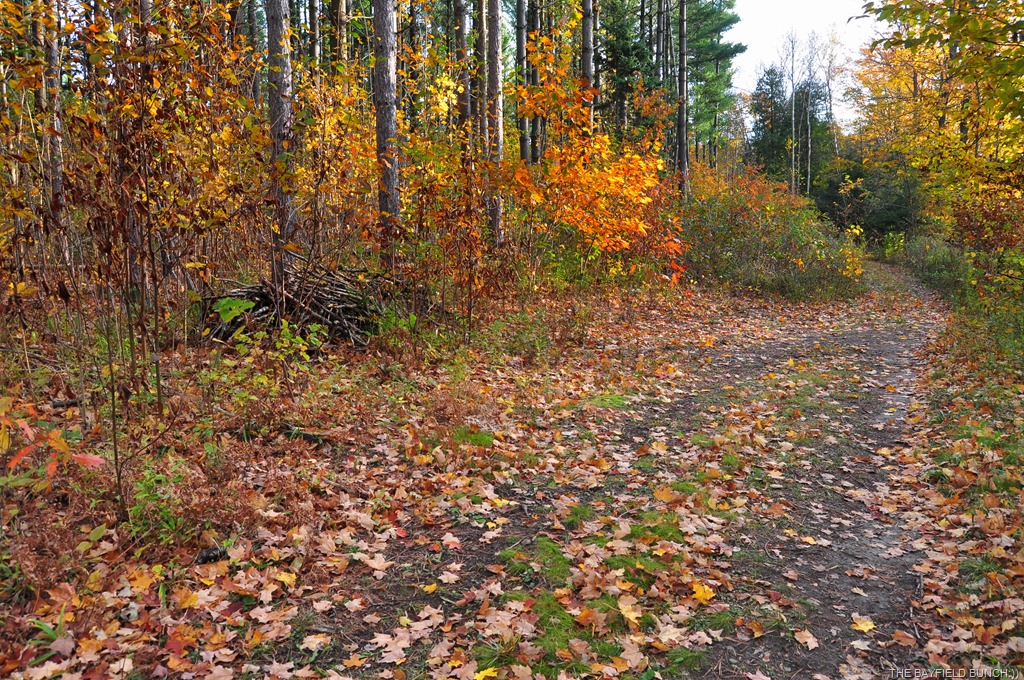[DSC_0002-1%255B9%255D.jpg]