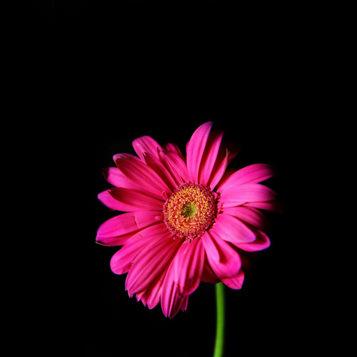 Hd-179626-ascw179626