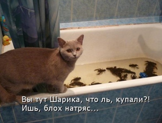 [1340032719_019%255B3%255D.jpg]