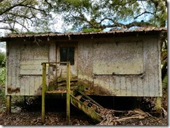 Abandonded cabin back