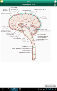 Taber's Medical Dictionary 22 Screenshots 13