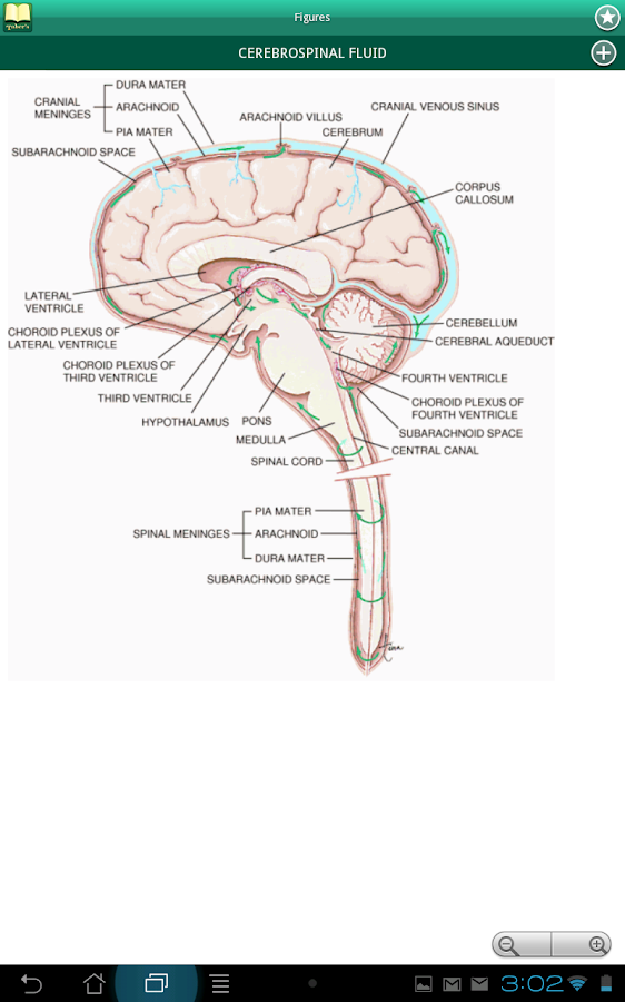Medical terminology made easy fourth edition pathways of science