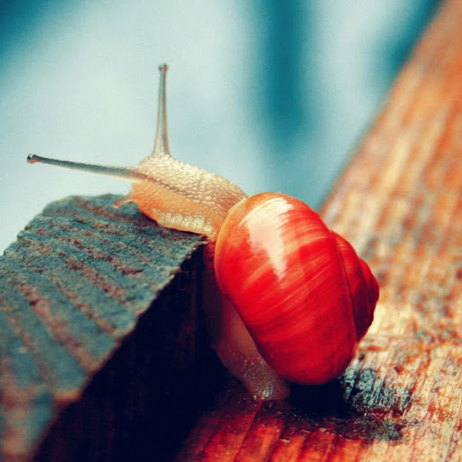 Hd-137841-ascw137841