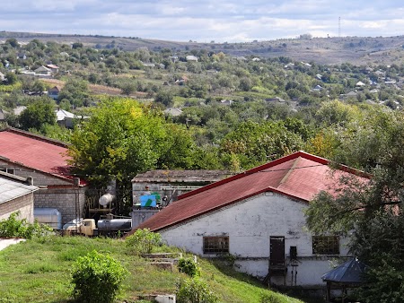 Drumul vinului -Basarabia: Dealurile de la Puhoi