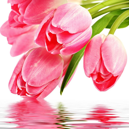 Hd-146097-ascw146097