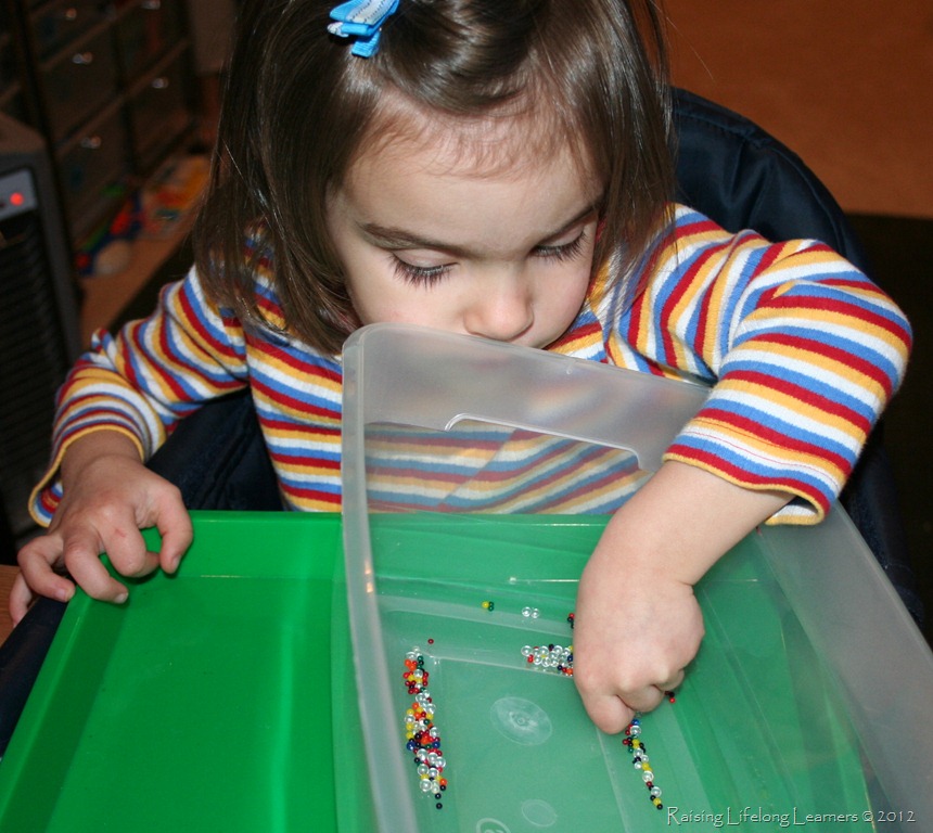 [Dry%2520Water%2520Bead%2520Observations%255B5%255D.jpg]