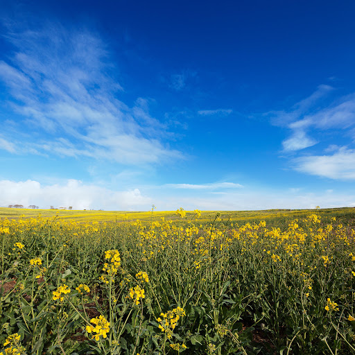 Hd-190739-ascw190739