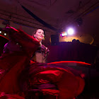 IMG_7283.jpg