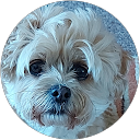 Mick Moore profile picture