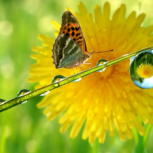 Hd-169105-ascw169105