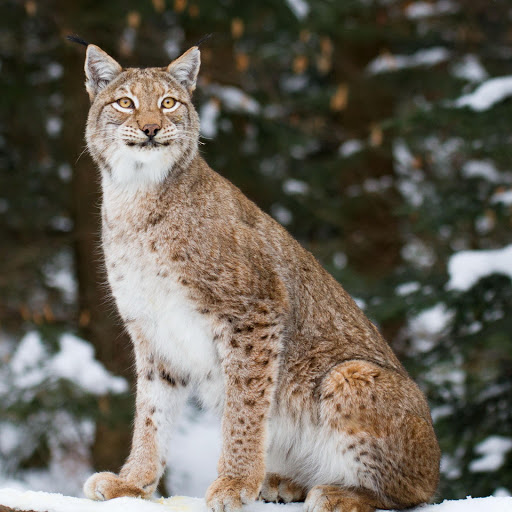 Hd-178312-ascw178312