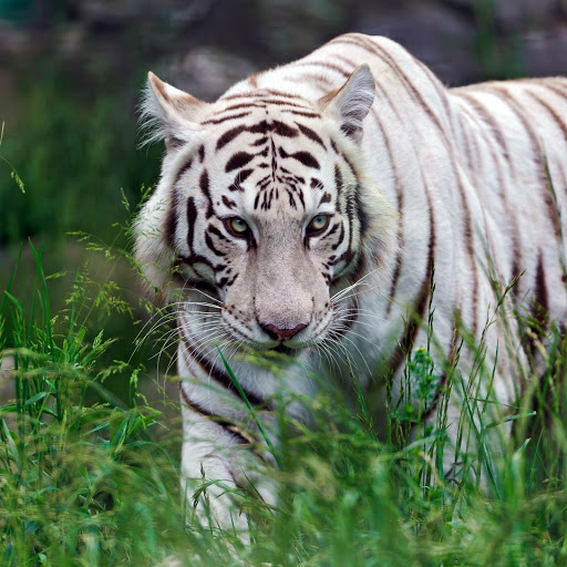 Hd-174608-ascw174608