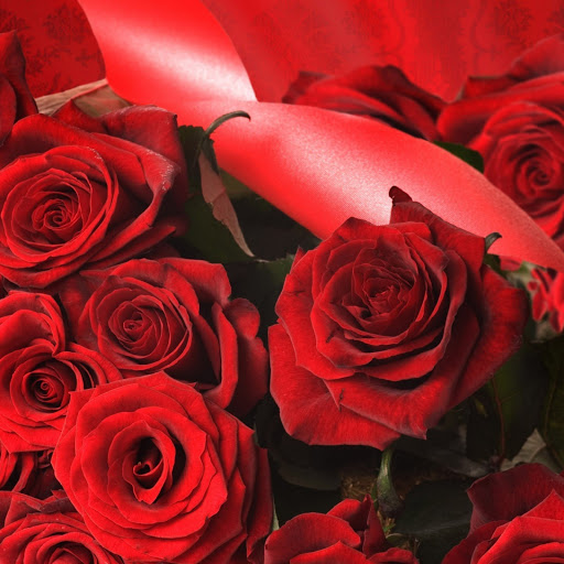 Hd-141212-ascw141212