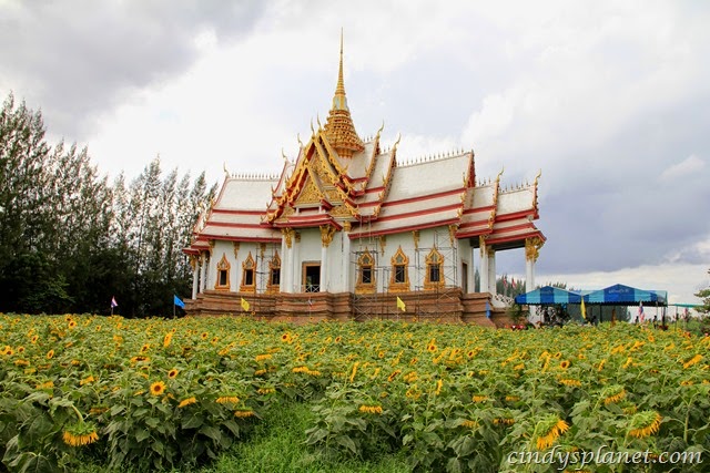 [Bangkok164%255B2%255D.jpg.webp]