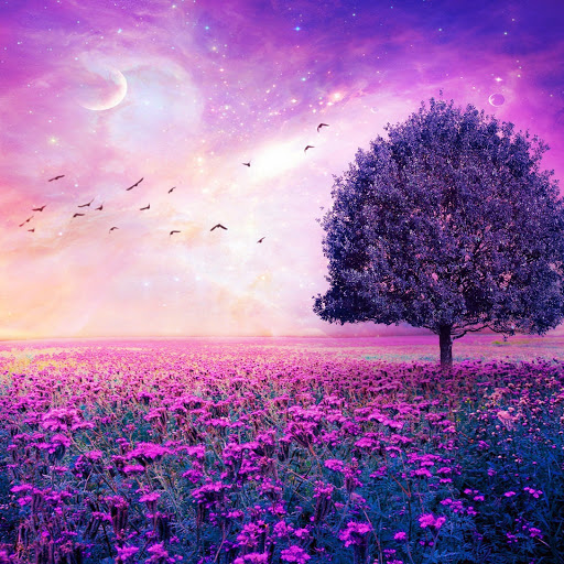 Hd-154079-ascw154079