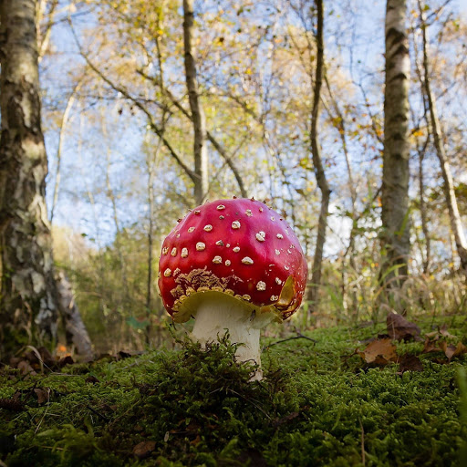 Hd-156040-ascw156040