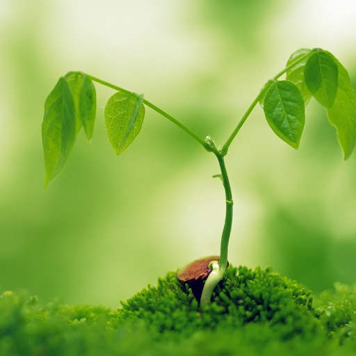 Hd-143356-ascw143356