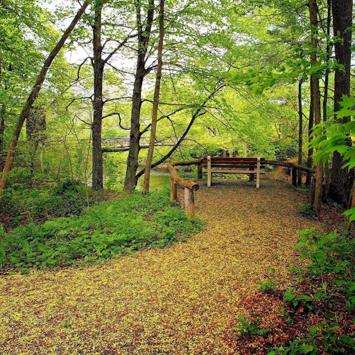 Hd-156383-ascw156383