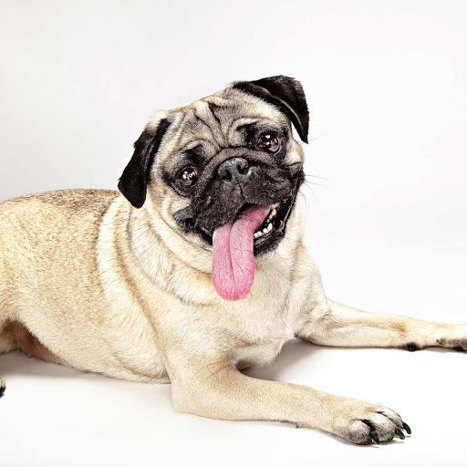 Hd-137662-ascw137662