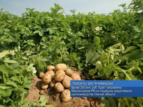 Кредиты растениеводам