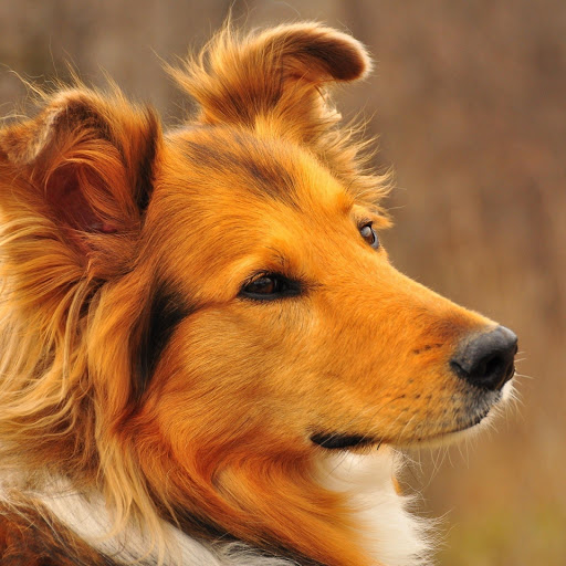 Hd-174227-ascw174227