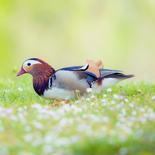 Hd-178029-ascw178029