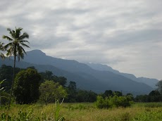 DSCN6121.JPG