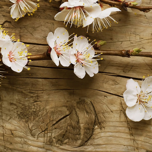 Hd-138839-ascw138839