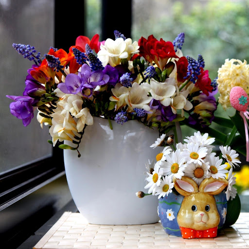 Hd-173865-ascw173865