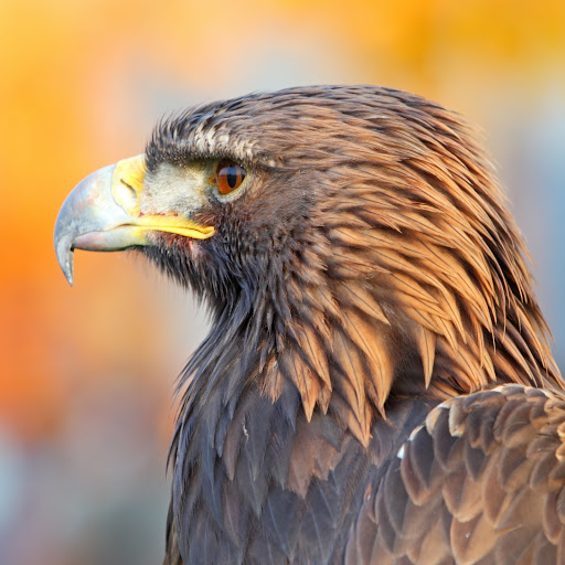 Hd-158296-ascw158296